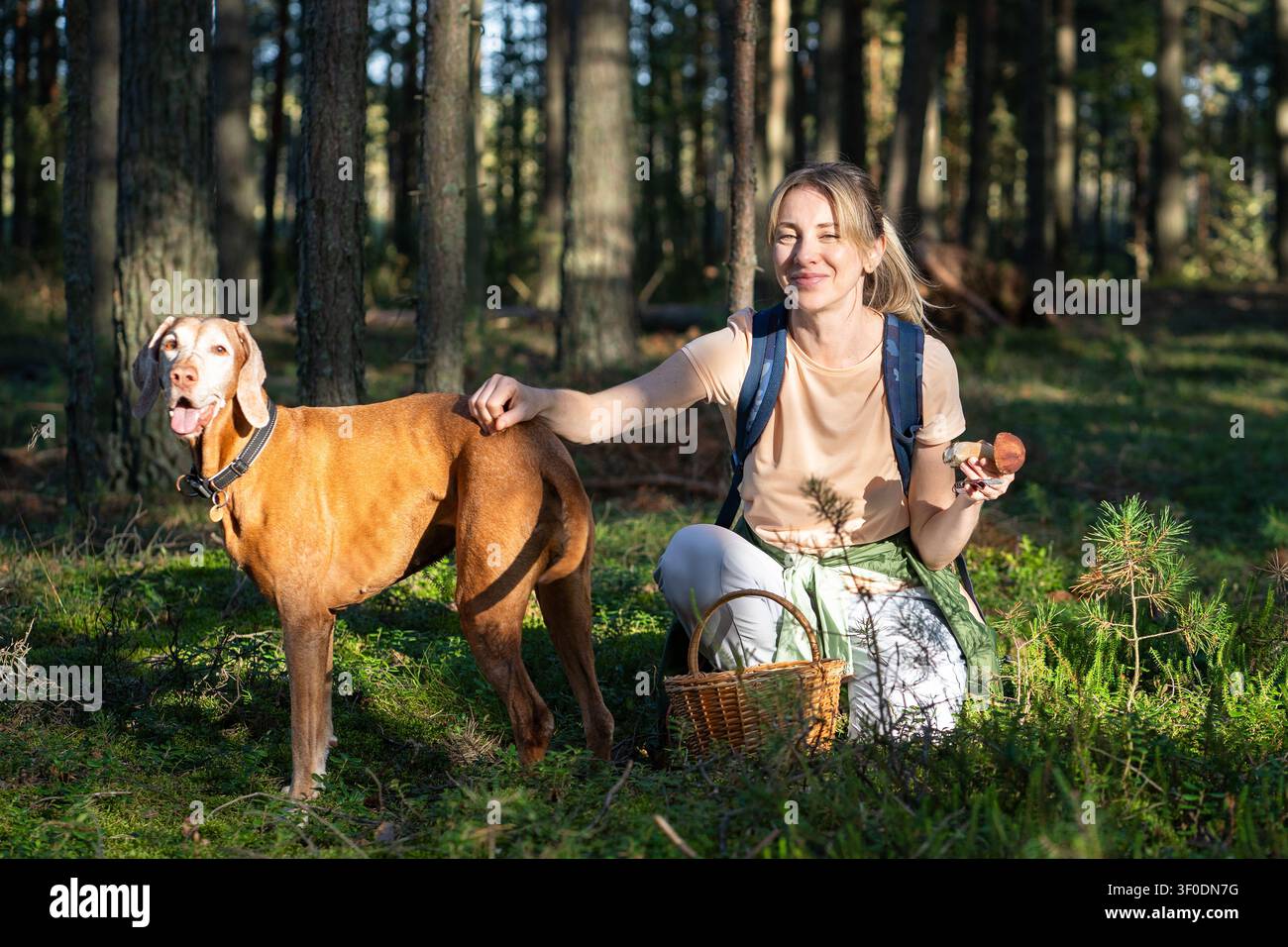 Donna allegra cacciatrice di funghi che passa il tempo libero con il cane all'aperto nella foresta raccogliendo porcini. Foto Stock