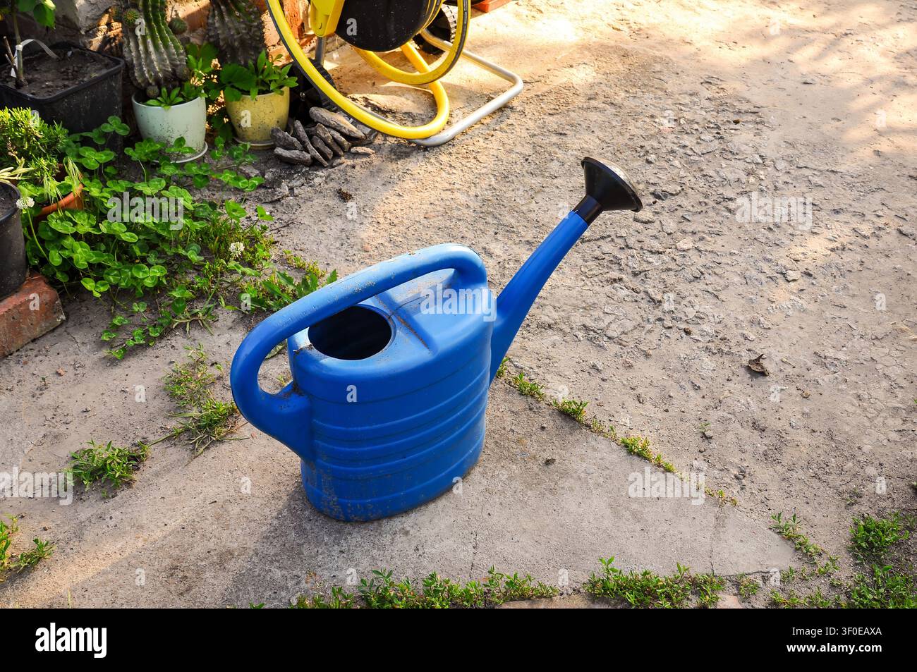 Annaffiatoio di plastica blu appoggiato su un patio di cemento con piante nelle vicinanze Foto Stock