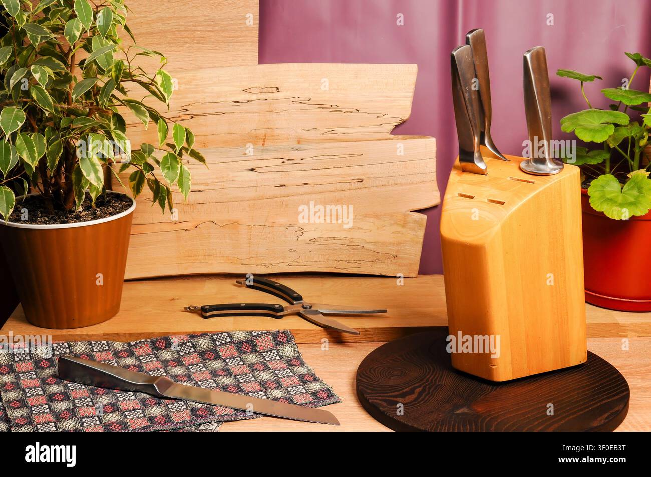 Coltelli da cucina in un blocco di legno con piante e sfondo in legno naturale Foto Stock