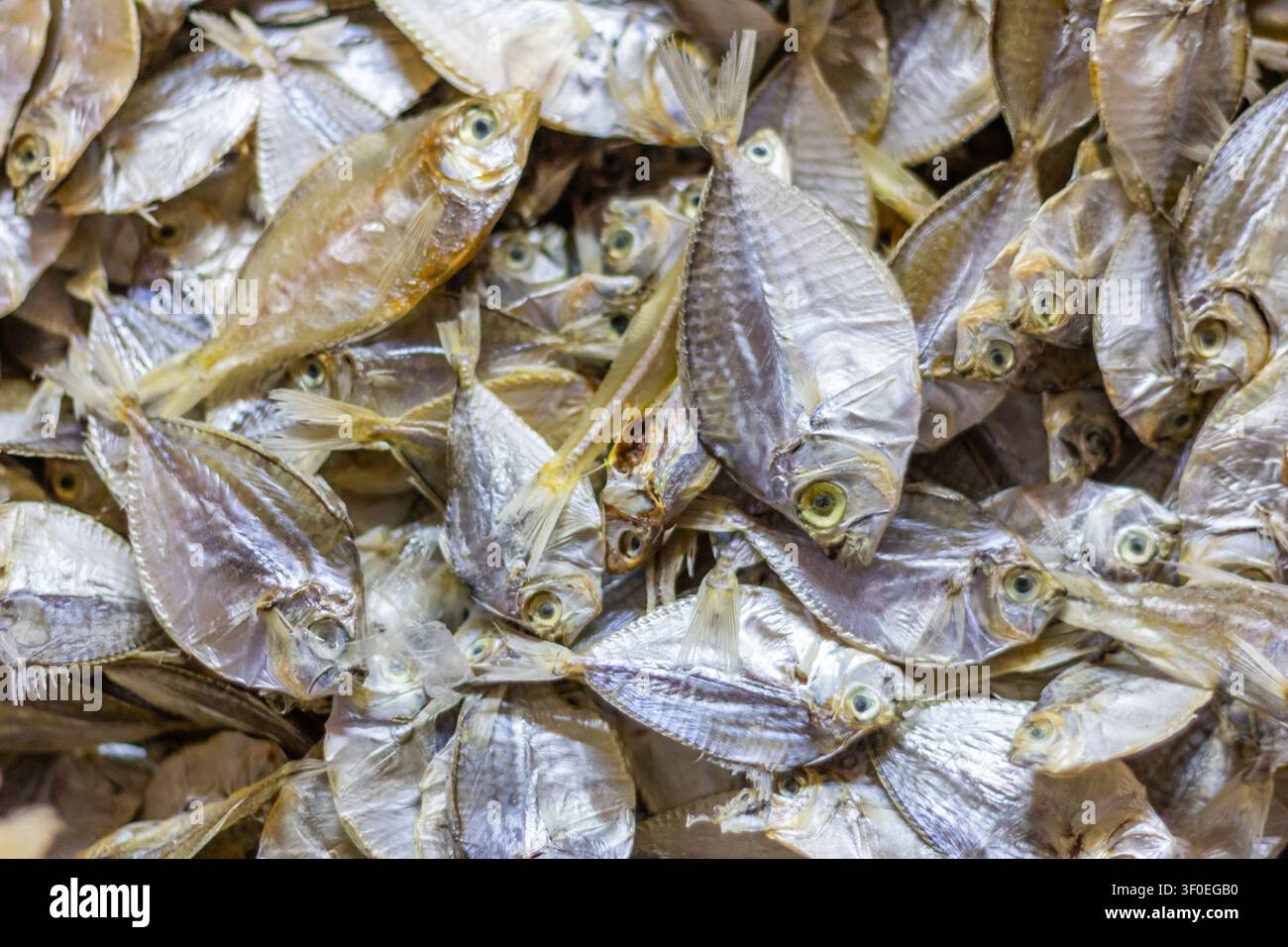 Pesce essiccato, un prodotto locale di punta di Bantayan Island, Cebu, venduto fresco al mercato pubblico delle Filippine Foto Stock