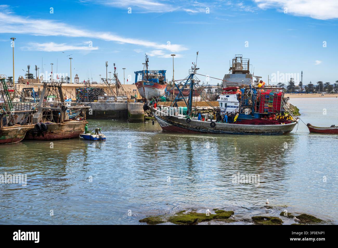 Peschereccio che entra nella bocca del porto nel trafficato porto di Essaouira in Marocco, Nord Africa Foto Stock