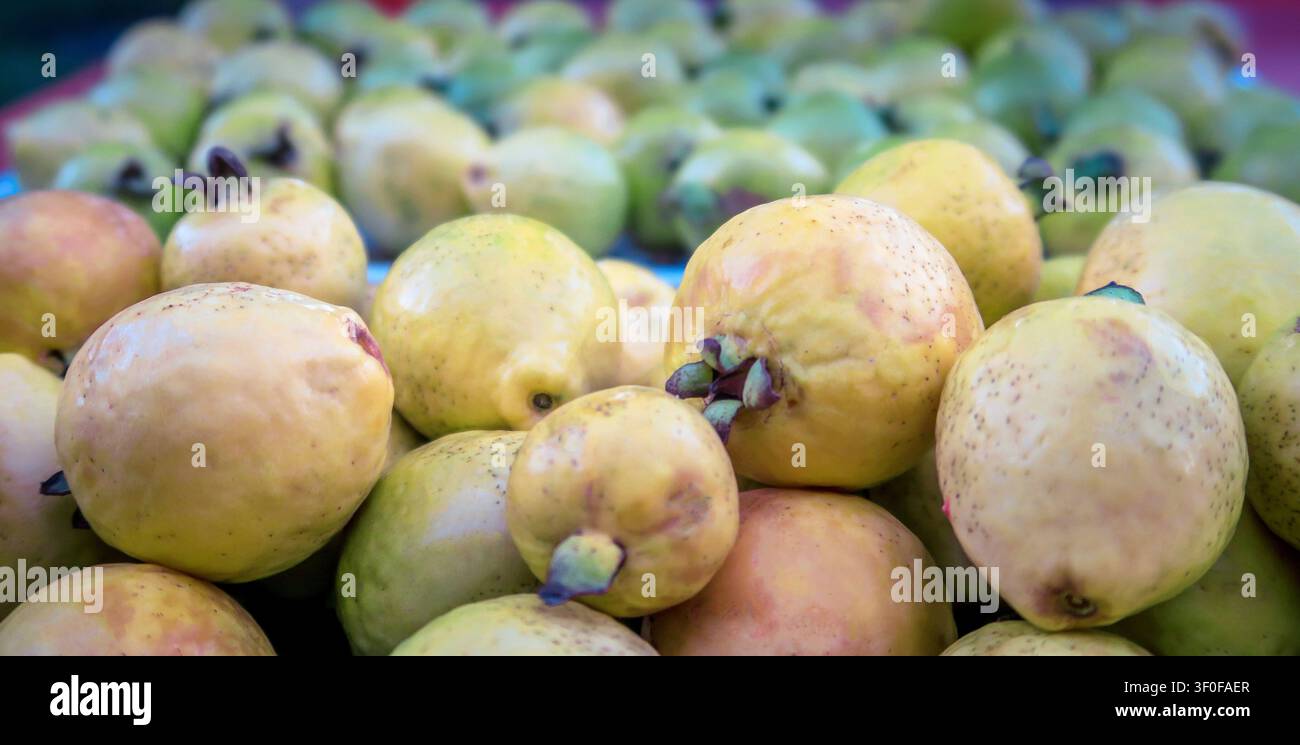 Frutti della guava a San Isidro a Buenos Aires, Argentina Foto Stock