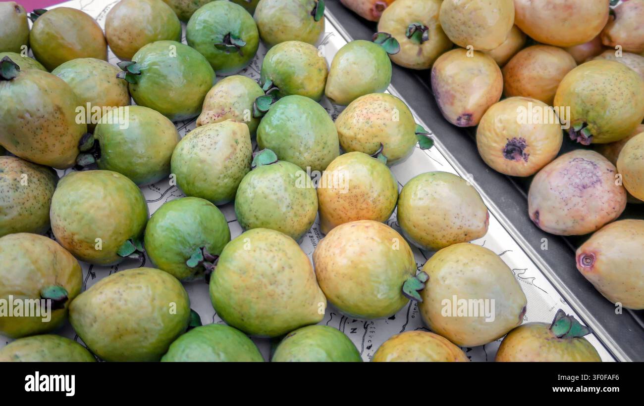 Frutti della guava a San Isidro a Buenos Aires, Argentina Foto Stock