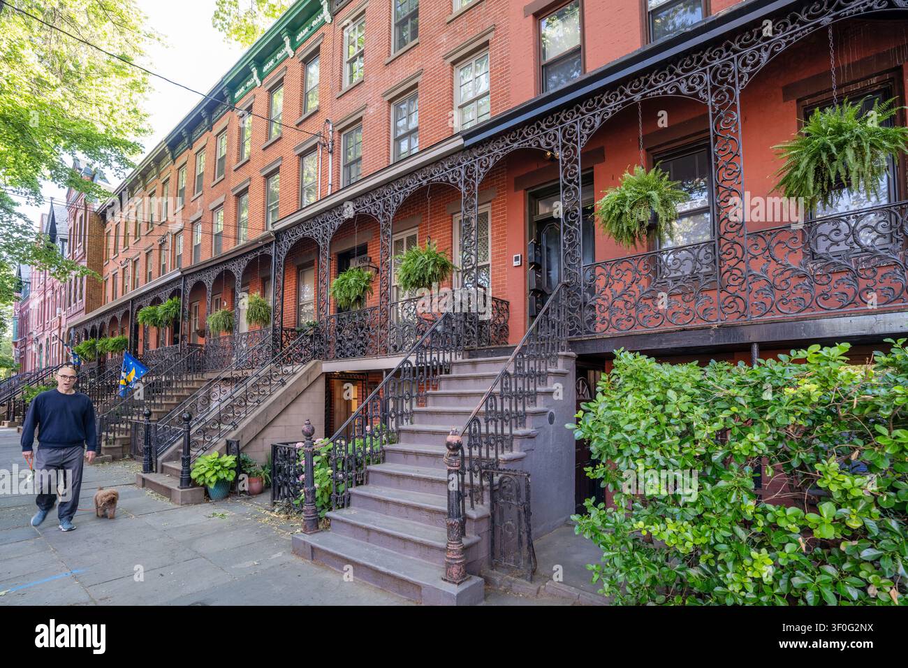 Uomo che porta a spasso il suo cane intorno alle case storiche e alle strade residenziali del Van Vorst Park a Jersey City, New Jersey, USA. Foto Stock