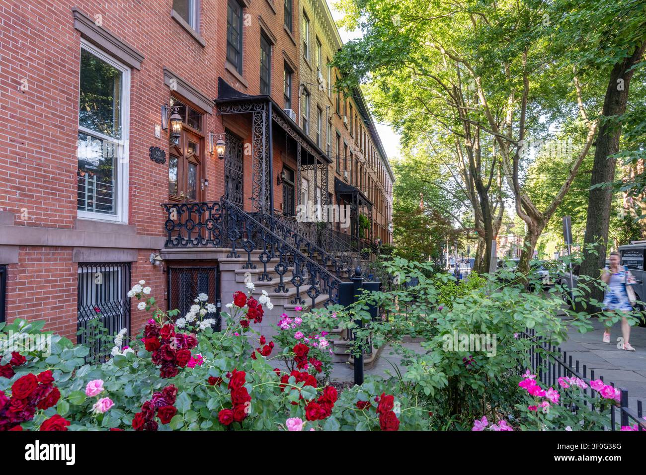 Case storiche e strade residenziali intorno al Van Vorst Park a Jersey City, New Jersey, USA. Foto Stock