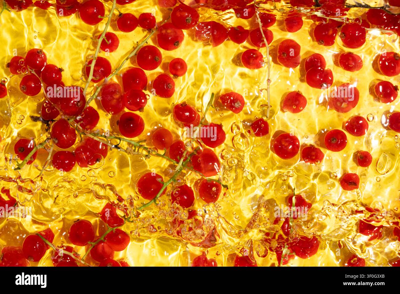 Bacche di ribes rosse che schizzano in succo o sciroppo giallo con bolle luminose. Foto Stock