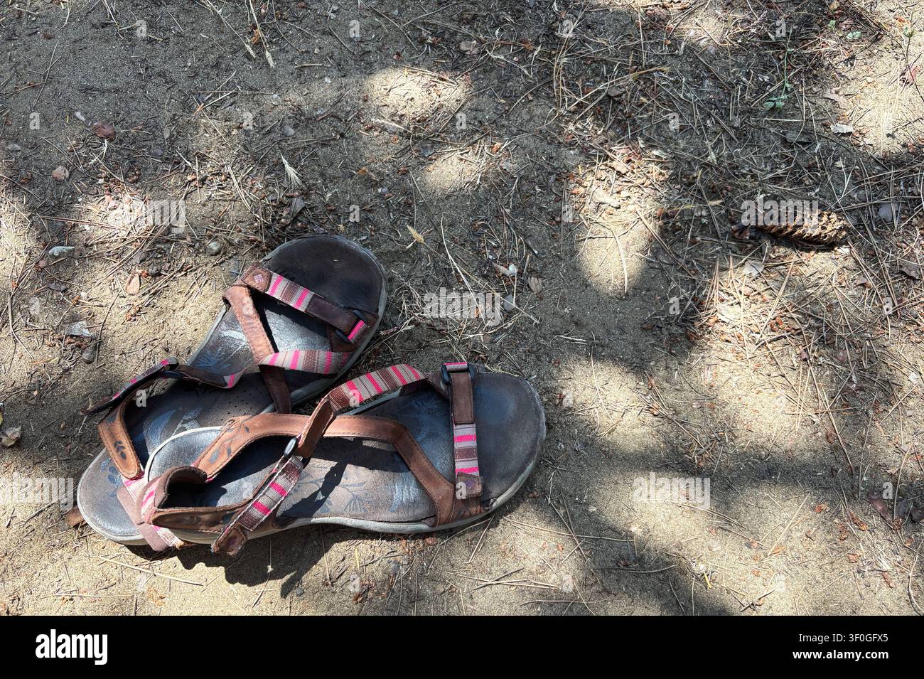 Castagneto Carducci, Italia, 01 giugno 2026. Coppia di sandali da trekking usati appoggiati su terreno asciutto con aghi di pino durante una pausa. Concetto di viaggio. Foto Stock