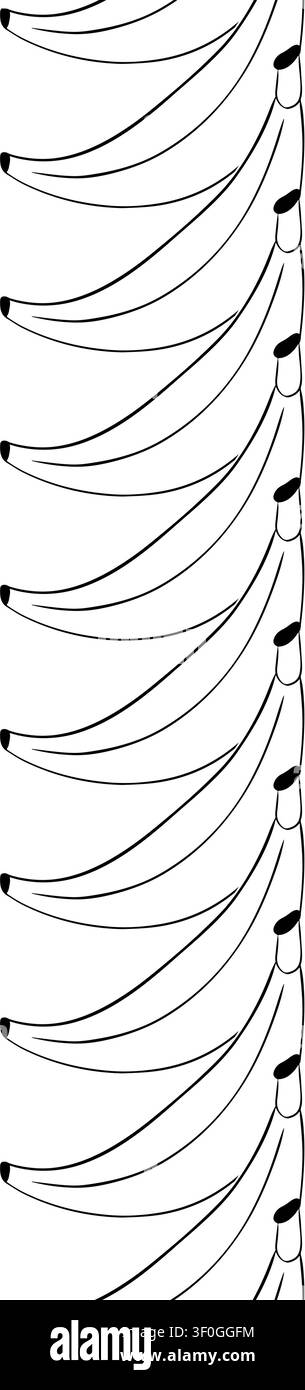 Scuola della banana bordo verticale senza cuciture Illustrazione disegnata a mano in bianco e nero. Grafica vettoriale arte a inchiostro lineare. stampa, fumetti, moda, pop art, tavole Illustrazione Vettoriale