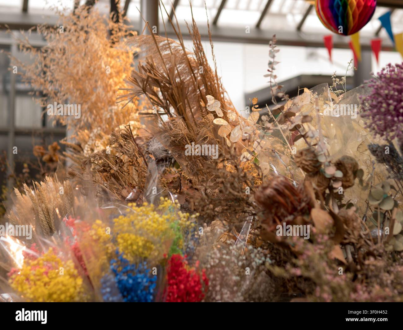 Fiori essiccati assortiti, botanici conservati, graminacee ornamentali e composizioni floreali esposti in una fioreria Foto Stock