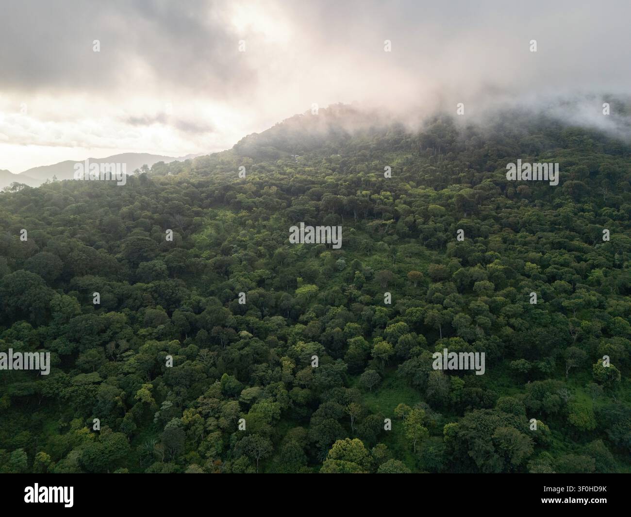 Colline verdi e alberi sono visti dall'alto mentre le nuvole si muovono lentamente nel cielo mattutino. Foto Stock