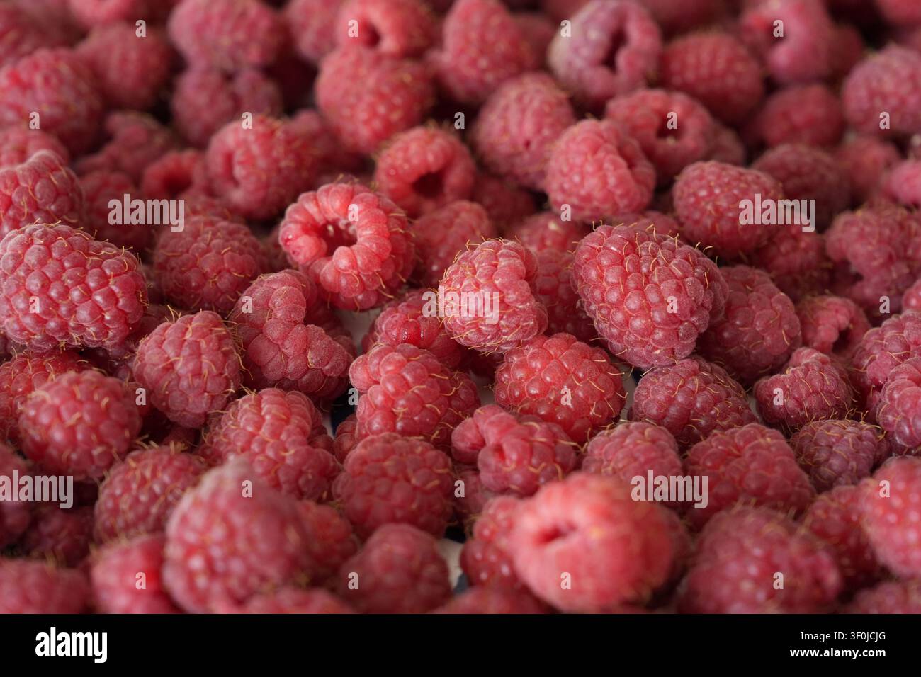 Ripe rosso lampone close up Foto Stock