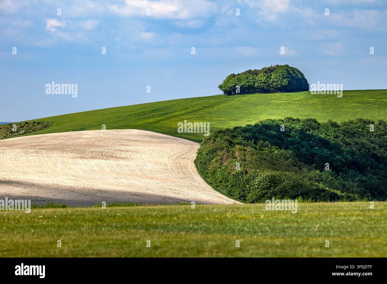 Vista dall'aeroporto di Compton Abbas sulle colline ondulate del Dorset con un paesaggio di creta arato che rivela le antiche origini sottomarine delle colline. Foto Stock