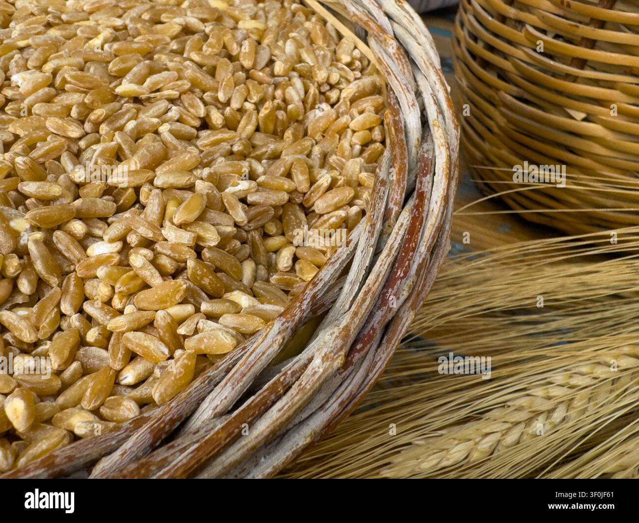 Grani di frumento crudi ammucchiati in un cesto tradizionale in vimini intrecciato accanto a steli essiccati su un tavolo di legno. Dettagli del raccolto agricolo a Creta, Grecia. Foto Stock