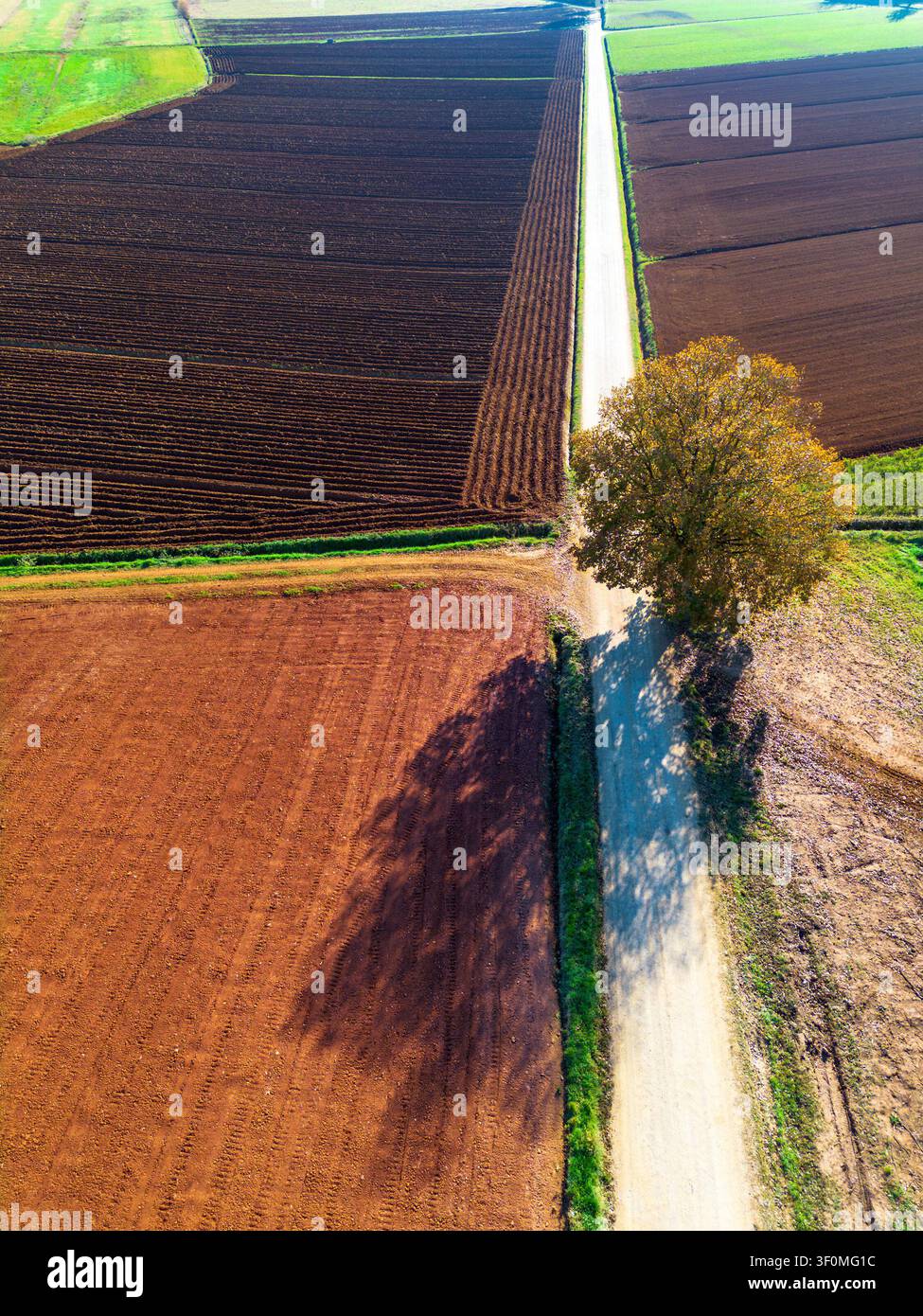 Paesaggio patchwork autunnale nella campagna di Siena Foto Stock