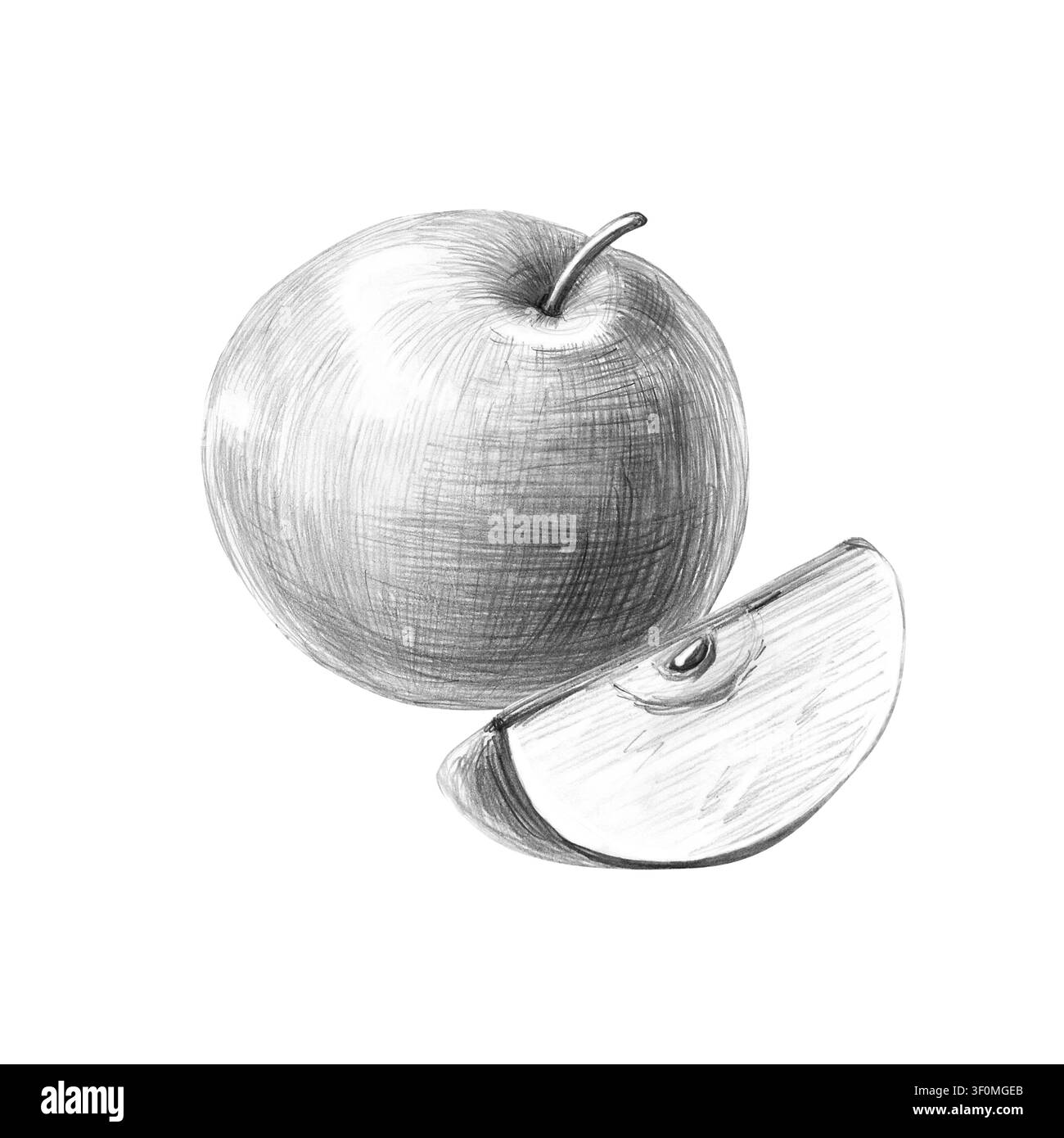 Una mela intera e mezza. Illustrazione dettagliata isolata a matita per ristoranti, caffè, blog culinari, marchi di cibo, fattorie e negozi di alimentari. Foto Stock