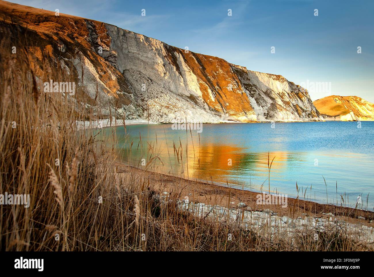 Frana massiccia sotto una scogliera di gesso del Dorset che rivela gesso e selce con erbe costiere e un avvertimento sui pericoli dell'erosione costiera Foto Stock