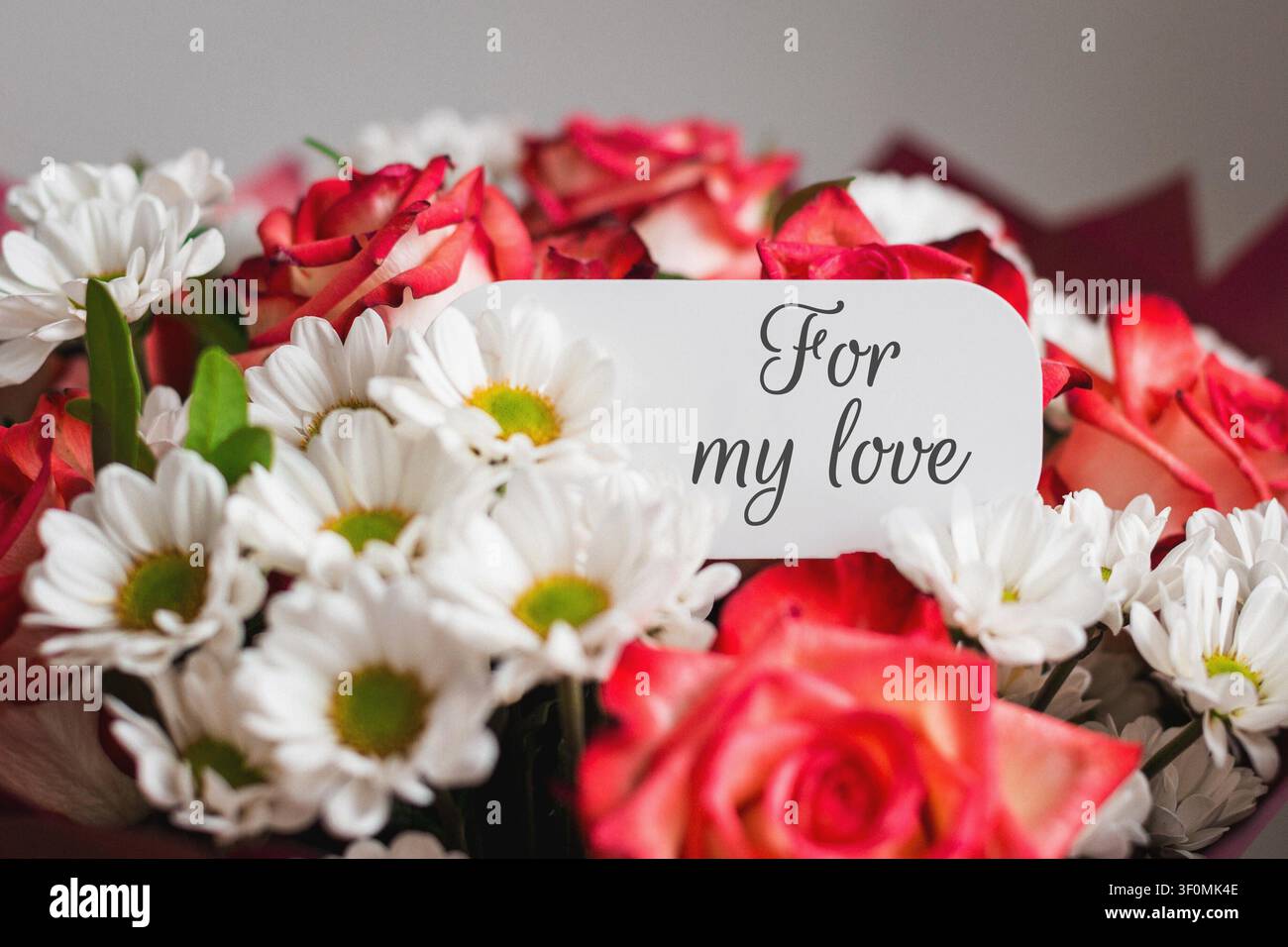 Mazzo di rose rosse e margherite bianche con un biglietto di auguri che dice Per il mio amore, concetto di romanticismo, affetto, celebrazione, San Valentino, regalo ed espressione della relazione Foto Stock
