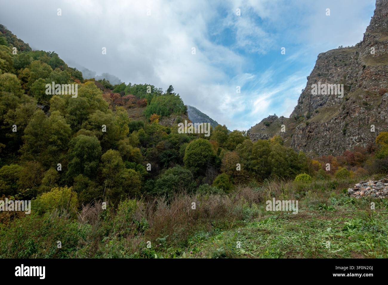 Una vasta gola di montagna fiancheggiata da ripide falesie di calcare e pendici densamente boschive che mostrano transizioni di colore del primo autunno. Foto Stock