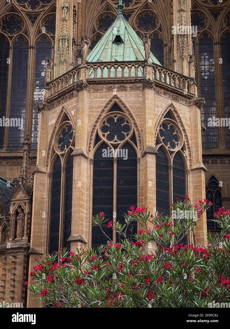 Facciata gotica della cattedrale di Santo Stefano a Metz con fiori di oleandro in fiore. Bellissimo traforo di pietra, archi a sesto acuto e un torrione del tetto in rame di - Immagine stock catturata con smartphone