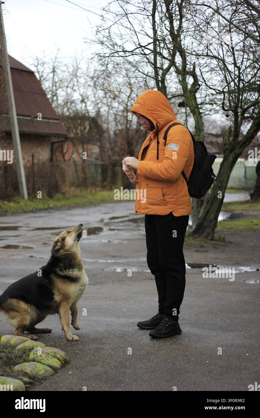 Giovane uomo che nutre un cane randagio in una strada piovosa a Baltiysk, Russia Foto Stock