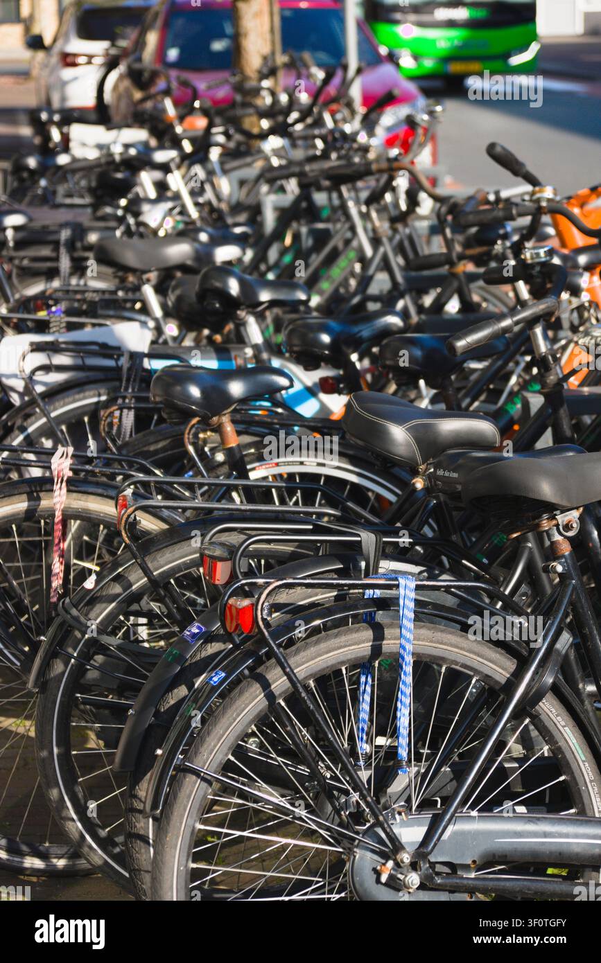 Filiera di biciclette parcheggiate una accanto all'altra in una strada a Noordwijkerhout, Zuid-Holland, Paesi Bassi Foto Stock