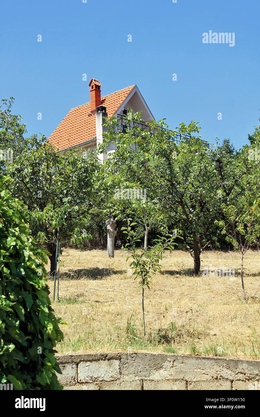 Casa di campagna rinnovata con tetto di tegole rosse in cima a una collina tra i prugnali vicino a Belgrado (Serbia) Foto Stock