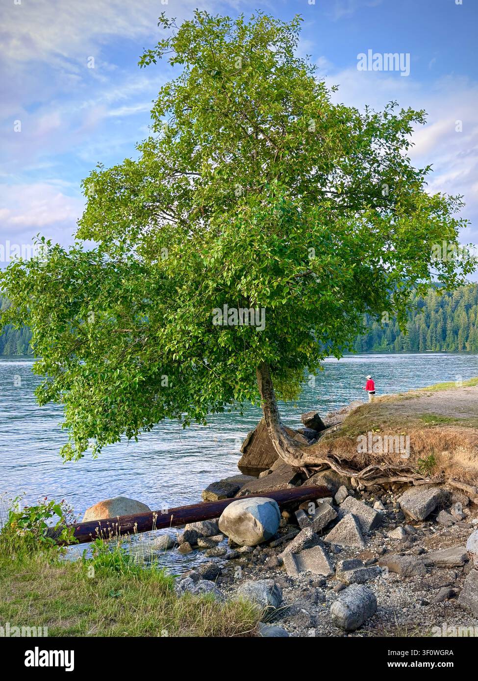 Burnaby, Columbia Britannica, Canada: linea costiera boschiva e acque calme al Barnet Marine Park nella calda luce serale. Foto Stock