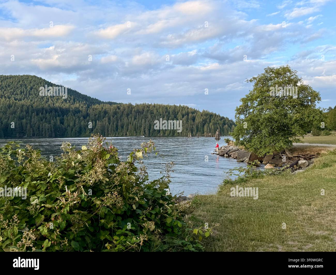 Burnaby, Columbia Britannica, Canada: linea costiera boschiva e acque calme al Barnet Marine Park nella calda luce serale. Foto Stock