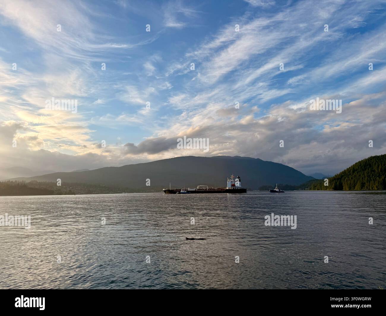 Chimera e chiglia che attraversano il Burrard Inlet al largo del Barnet Marine Park a Burnaby, Metro Vancouver, Columbia Britannica, Canada, con montagne boscose Foto Stock