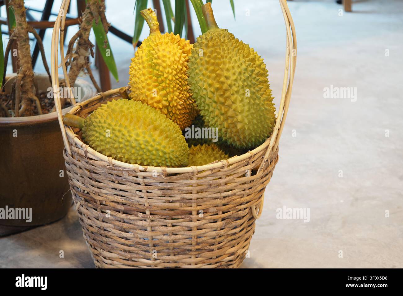 Frutti di durian in un cesto intrecciato in un mercato vivace Foto Stock