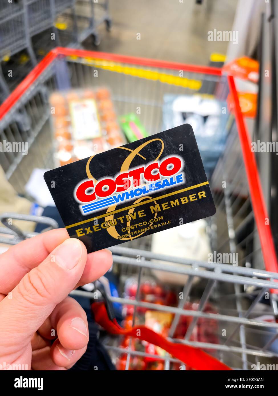 LEVISVILLE, TX, USA - 2 LUGLIO 2026: Una mano tiene una carta Executive Member di Costco Wholesale davanti a un carrello della spesa pieno di generi alimentari. Costco i Foto Stock