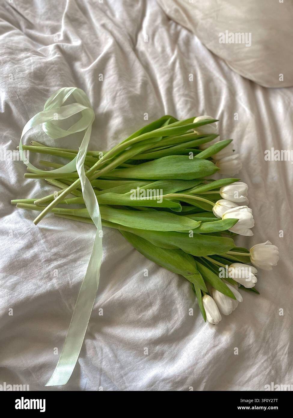 Mazzo di tulipani bianchi legato con un nastro elegante su lenzuola bianche morbide alla luce naturale, natura morta floreale minimalista primaverile con spazio per il testo. - Immagine stock catturata con smartphone