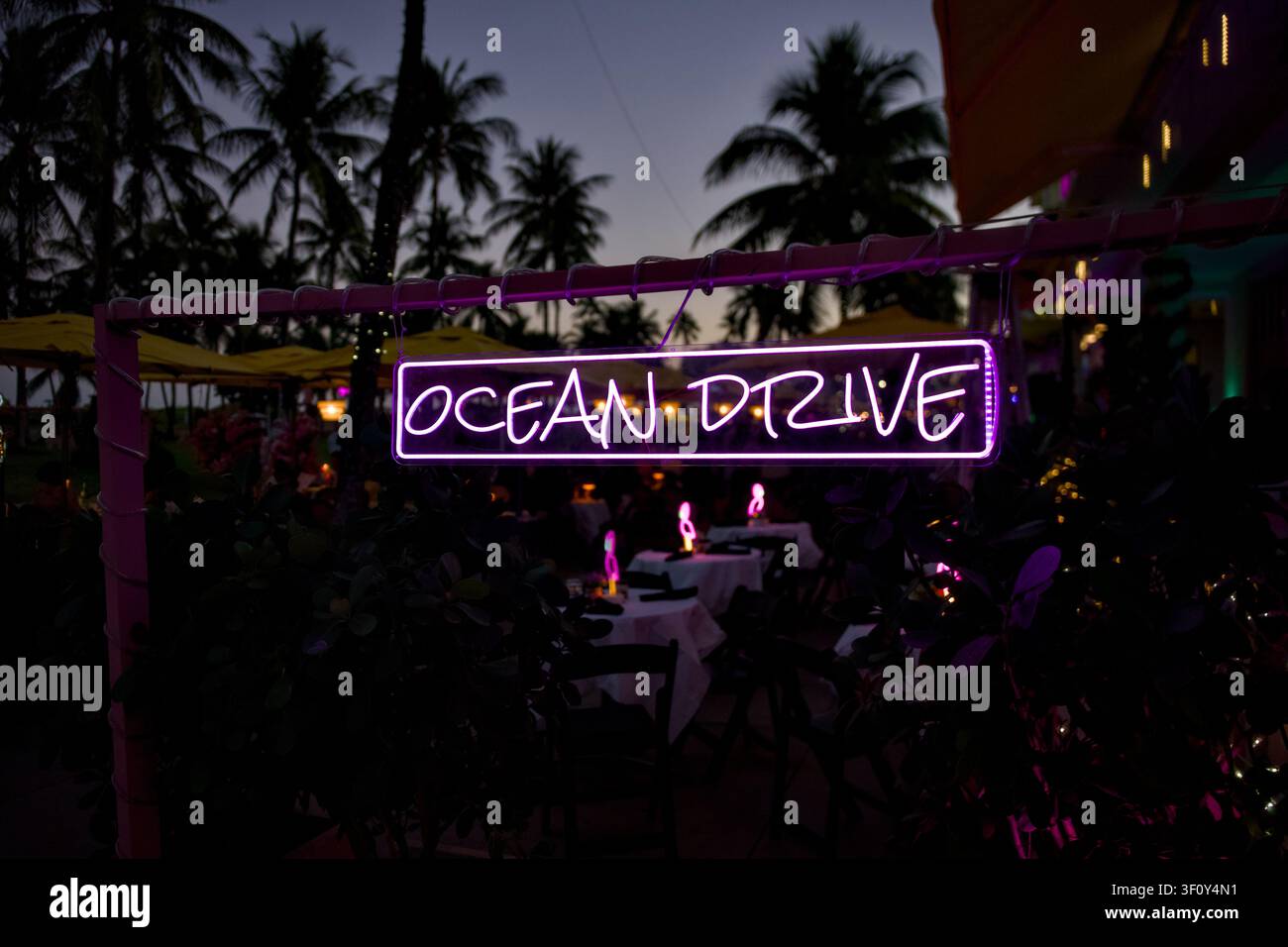 Primo piano del cartello illuminato di Ocean Drive incorniciato da palme a Miami, Florida, il 29 dicembre 2025 Foto Stock