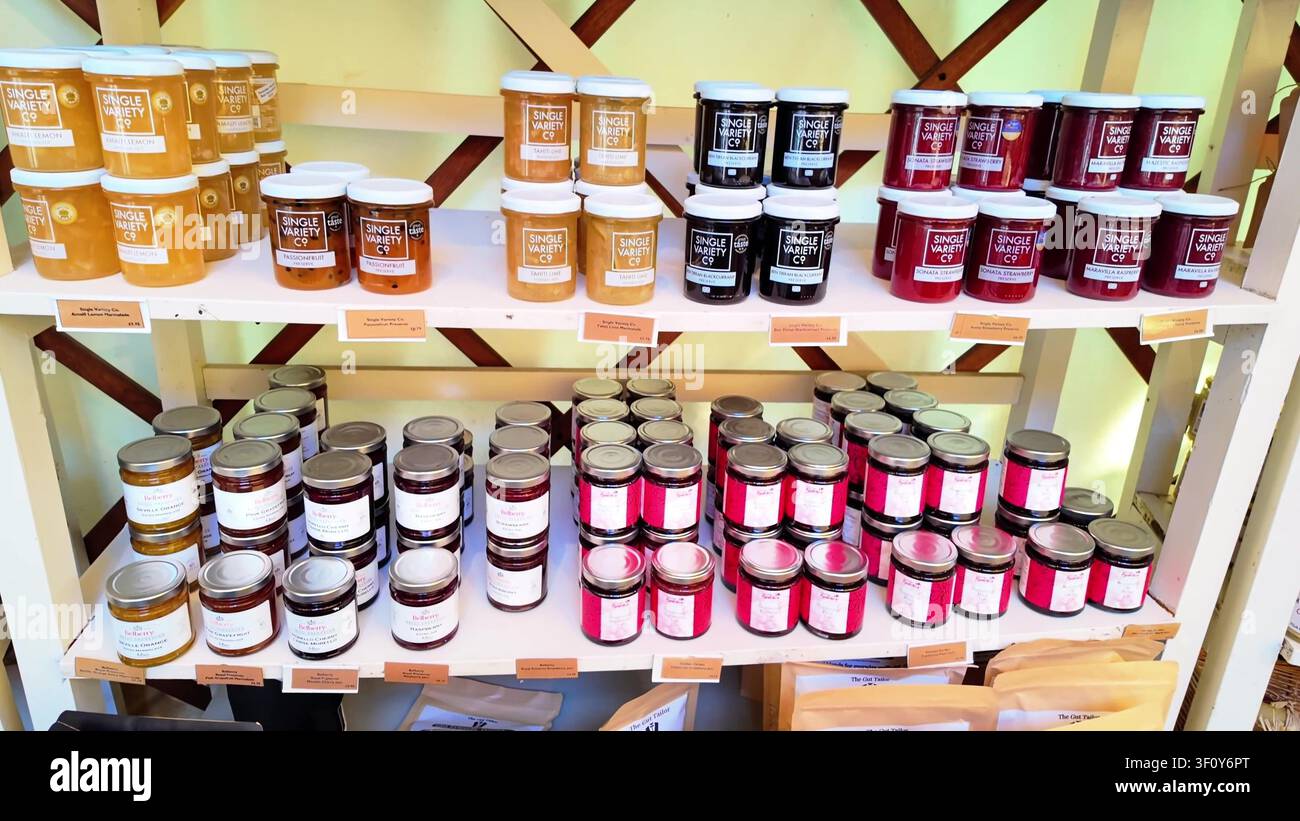 Esposizione di negozio agricolo con file di miele artigianale, marmellate di frutta e conserve in barattoli di vetro su scaffali di legno Foto Stock