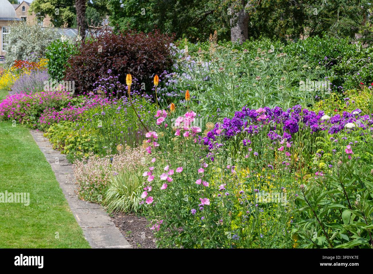 Confine erbaceo al giardino botanico di Sheffield nel South Yorkshire, Inghilterra. Foto Stock