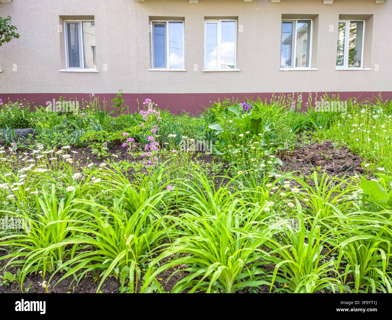 Edificio residenziale con giardino colorato in primo piano Foto Stock