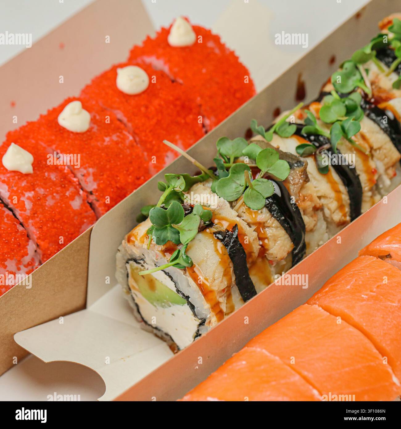 Un paio di scatole piene di diversi tipi di sushi, inclusi roll e sashimi, che mostrano una deliziosa gamma di frutti di mare e sapori. Foto Stock