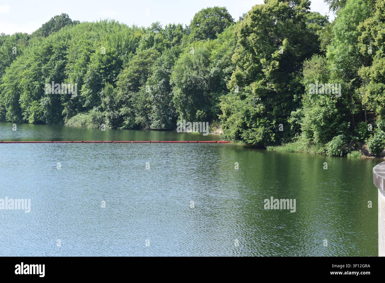Lago artificiale Bütgenbacher See in Belgio Foto Stock