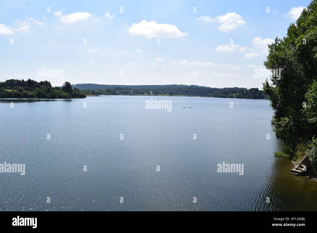 Lago artificiale Bütgenbacher See in Belgio Foto Stock