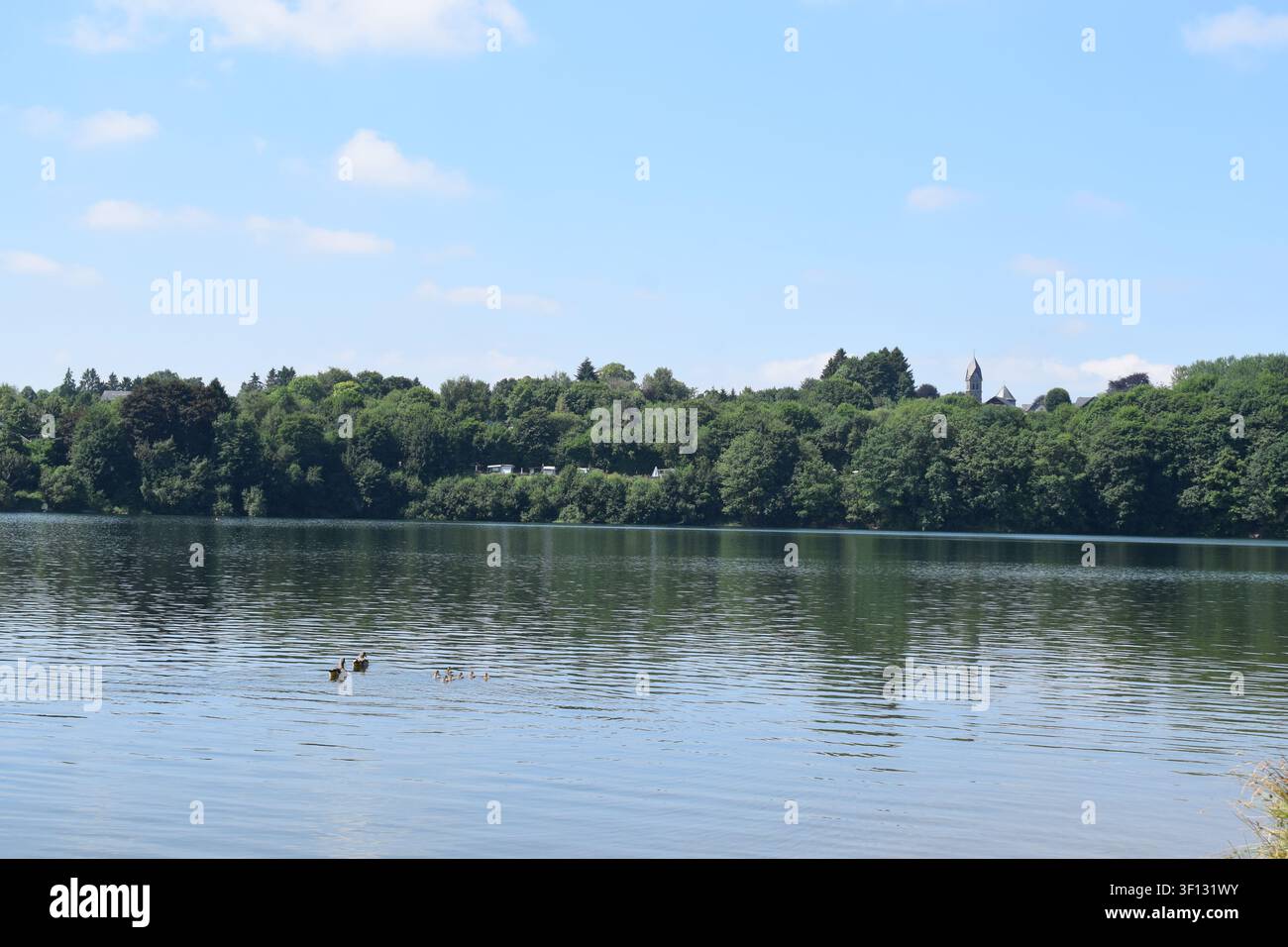 Lago artificiale Bütgenbacher See in Belgio Foto Stock