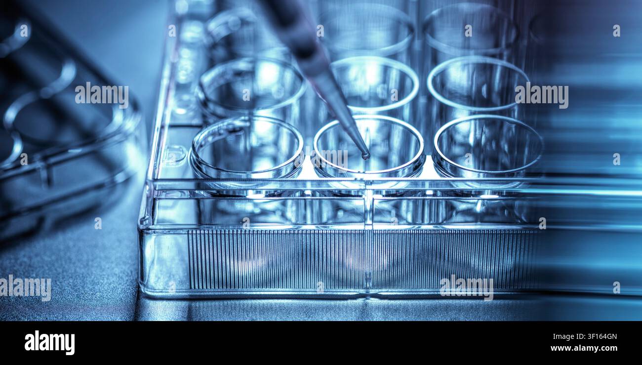 Ricerca biotecnologica, immagine concettuale. Scienziato che pipetta un campione in una piastra a pozzi multipli nel laboratorio. Foto Stock