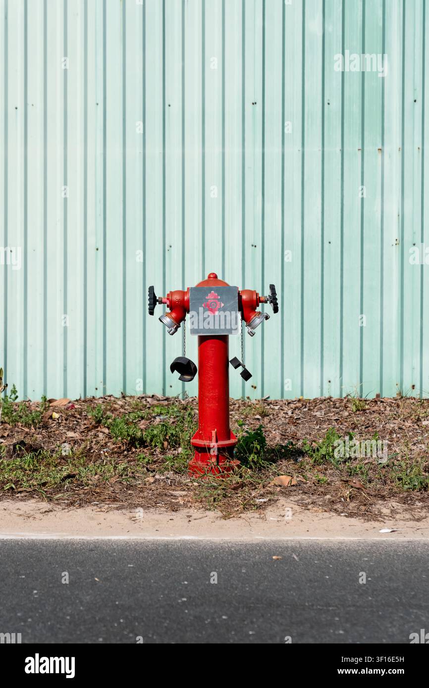 Idrante rosso acceso accanto a foglie secche ed erba vicino a un bordo strada pavimentato Foto Stock