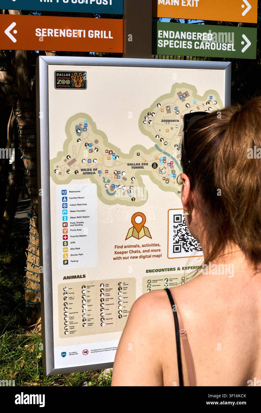 DALLAS, TX, USA - 10 LUGLIO 2026: Una persona studia un grande display cartografico allo zoo di Dallas, circondata da segnali direzionali. Lo zoo di Dallas è uno dei Foto Stock