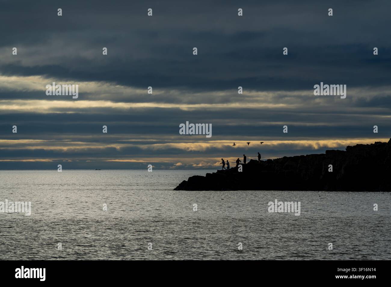 Pescatori che pescano da un frangiflutti roccioso sotto un drammatico cielo del Northumberland mentre uccelli costieri in silhouette volano sopra Foto Stock