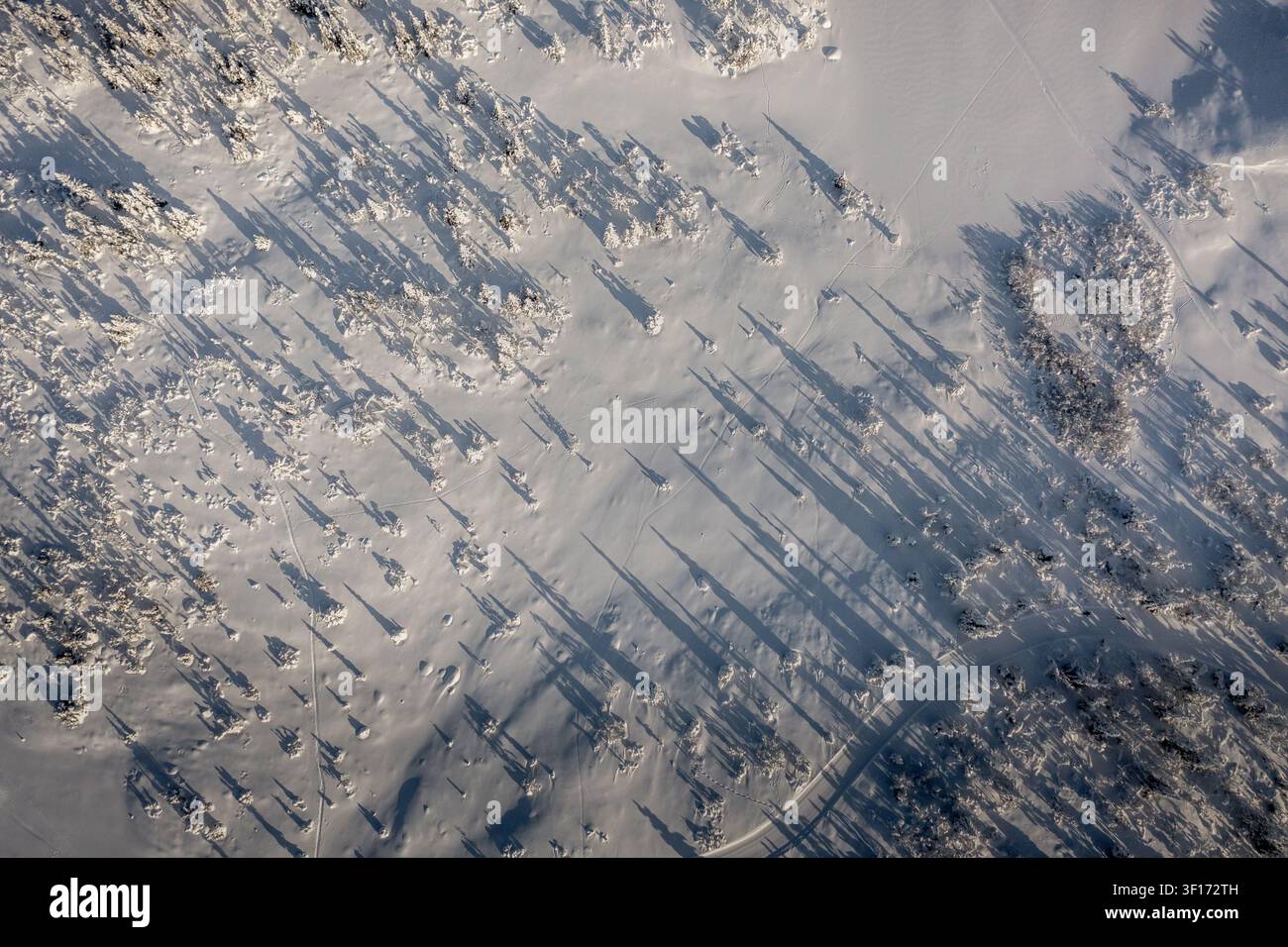 Vista aerea del paesaggio coperto di neve che circonda il Gaustablikk Fjellresort con lunghe ombre proiettate dai pini sul terreno bianco incontaminato Foto Stock