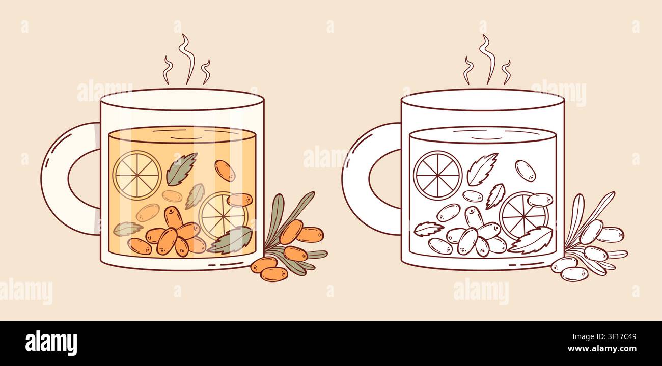 Tè caldo di bacche di spine di mare in una tazza di vetro con fette di limone e menta. Bevanda autunnale accogliente con vapore fumante e bacche fresche. Colore e linea isolati Illustrazione Vettoriale