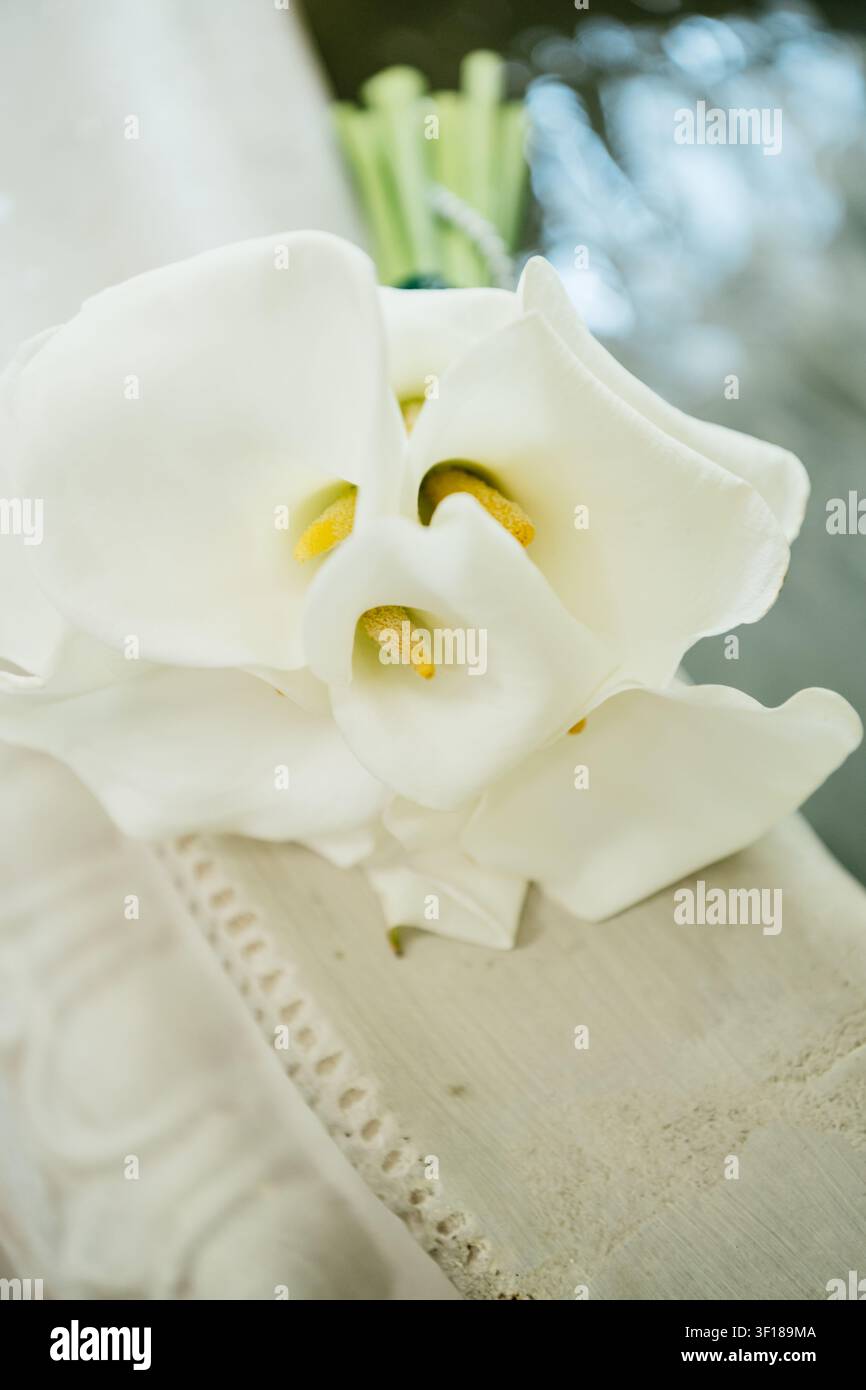 Un bellissimo bouquet da matrimonio minimalista con eleganti gigli calla bianchi e spathe gialli prominenti. Foto Stock