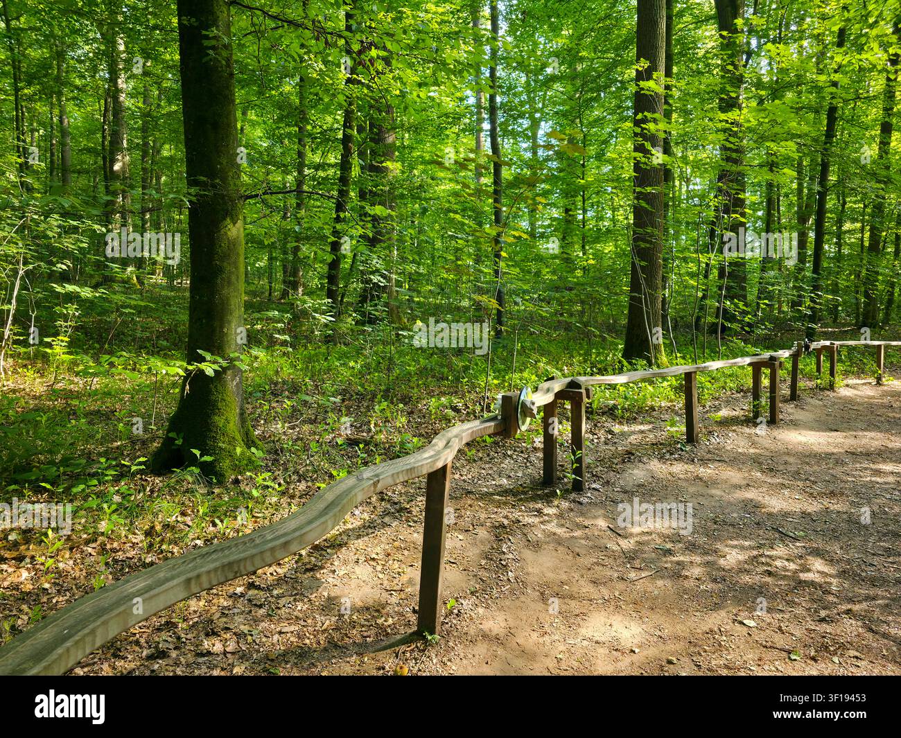 Germania, pista di marmo in legno splendidamente realizzata che si integra naturalmente in una lussureggiante foresta estiva, ispirando l'immaginazione e le scoperte all'aperto vicino a Wendlingen Foto Stock