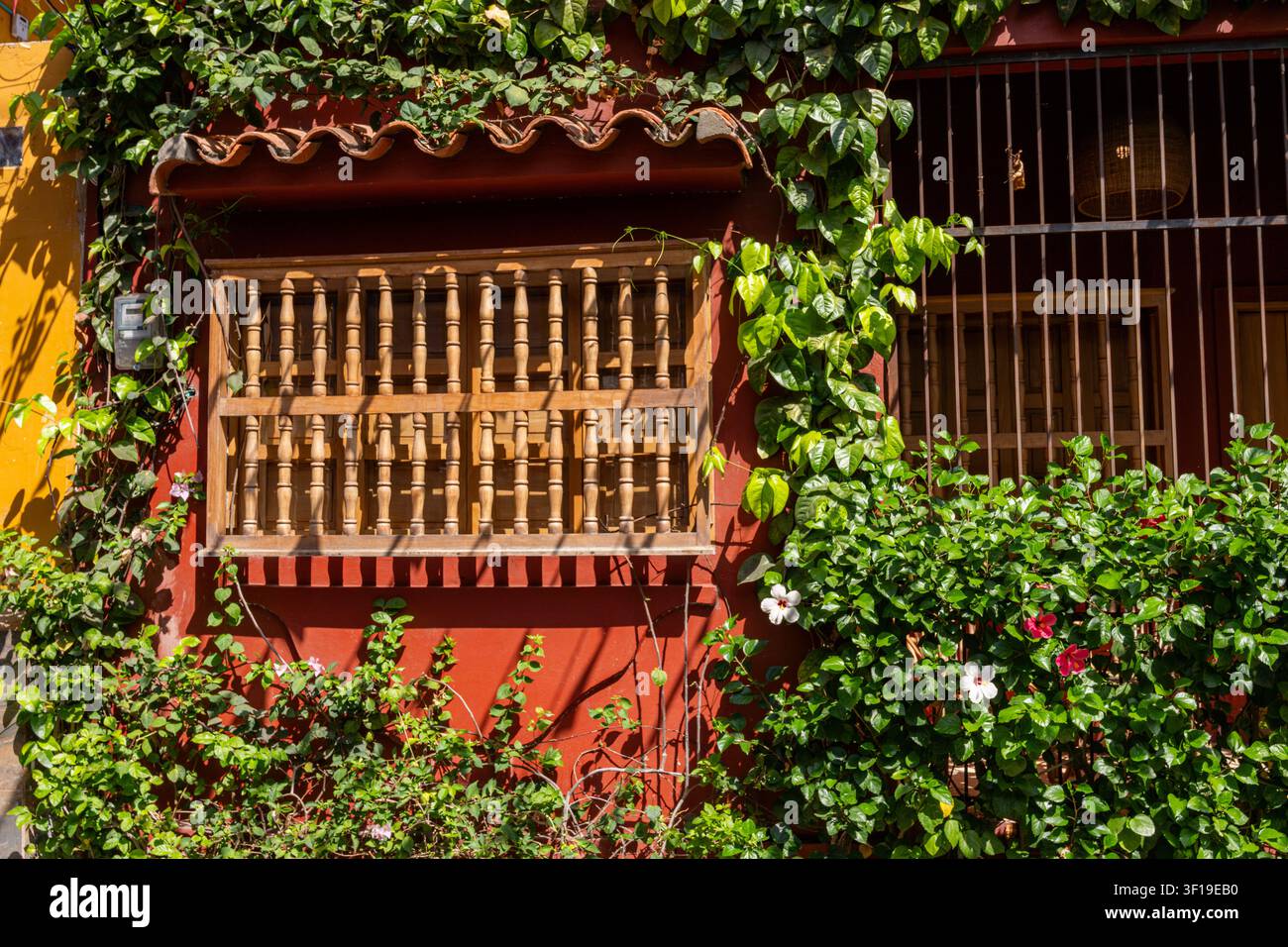Architettura coloniale tradizionale con pareti rosse colorate, una finestra in legno ornata e piante verdi rampicanti con piccoli fiori, che riflette il Foto Stock