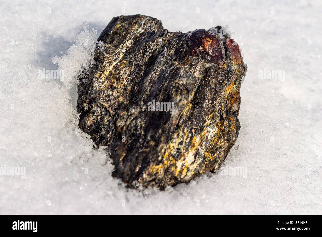 Vivid almandine garnet in mica scintillante, adagiato su neve bianca e netta. Un esemplare minerale naturale sorprendente, bellezza grezza dalla miniera di Kitelskoe Foto Stock